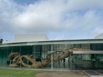 金沢21世紀美術館に投稿された画像（2024/7/8）