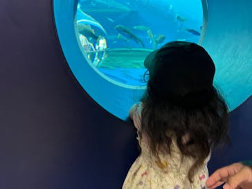 滋賀県立琵琶湖博物館に投稿された画像（2024/7/8）