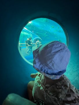 滋賀県立琵琶湖博物館に投稿された画像（2024/7/8）