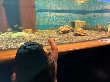 滋賀県立琵琶湖博物館に投稿された画像（2024/7/8）