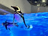 すみだ水族館に投稿された画像（2024/7/8）