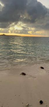 沖縄美ら海水族館（館内体験）に投稿された画像（2024/7/8）