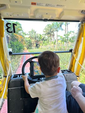 ナゴパイナップルパークに投稿された画像（2024/7/8）