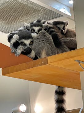 アニタッチららぽーと名古屋みなとアクルスに投稿された画像（2024/7/8）