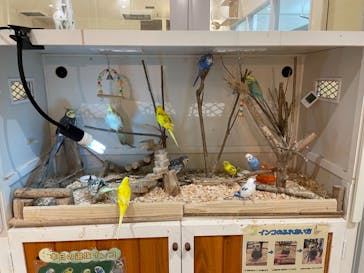 アニタッチららぽーと名古屋みなとアクルスに投稿された画像（2024/7/8）