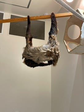 アニタッチららぽーと名古屋みなとアクルスに投稿された画像（2024/7/8）