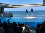 上越市立水族博物館 うみがたりに投稿された画像（2024/7/8）