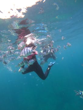 武藤潜水に投稿された画像（2024/7/8）