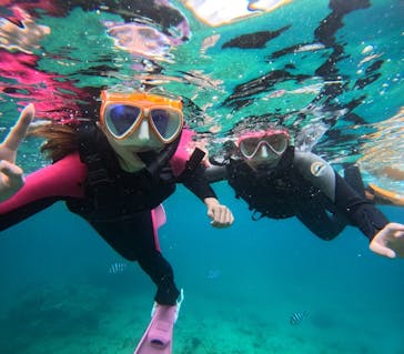 沖縄マリンサービス碧に投稿された画像（2024/7/8）