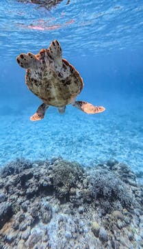 ざまみマリンアクティビティあおに投稿された画像（2024/7/8）