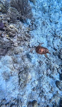 ざまみマリンアクティビティあおに投稿された画像（2024/7/8）