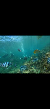 武藤潜水に投稿された画像（2024/7/8）