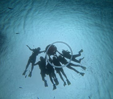 マリンクラブジジに投稿された画像（2024/7/7）