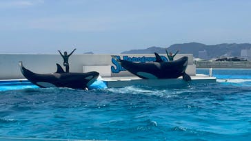 鴨川シーワールドに投稿された画像（2024/7/8）