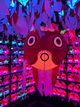 NARA KINGYO MUSEUMに投稿された画像（2024/7/8）