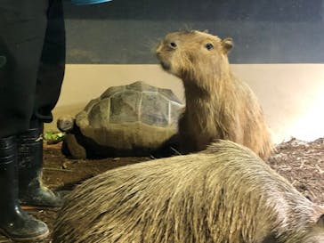 マクセル アクアパーク品川に投稿された画像（2024/7/8）