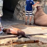 大分マリーンパレス水族館 「うみたまご」に投稿された画像（2024/7/8）