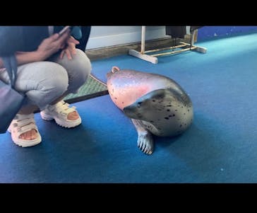 ゼロ距離水族館 伊勢シーパラダイスに投稿された画像（2024/7/8）