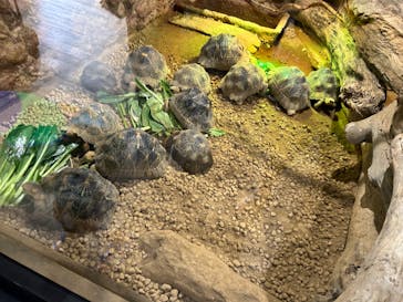 熱川バナナワニ園に投稿された画像（2024/7/8）