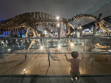 福井県立恐竜博物館に投稿された画像（2024/7/8）