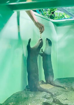 しながわ水族館に投稿された画像（2024/7/8）