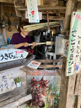 今帰仁城跡に投稿された画像（2024/7/8）