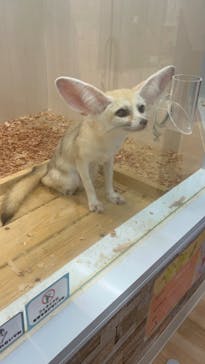 アニタッチ MARK IS 静岡に投稿された画像（2024/7/8）