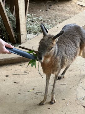 横浜・八景島シーパラダイスに投稿された画像（2024/7/8）