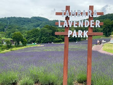 たんばらラベンダーパークに投稿された画像（2024/7/8）