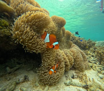  マリンショップHAPPYに投稿された画像（2024/7/8）