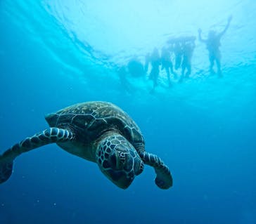  マリンショップHAPPYに投稿された画像（2024/7/8）