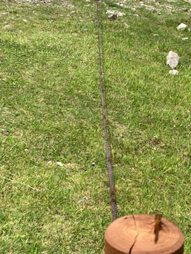 びわ湖バレイに投稿された画像（2024/7/8）