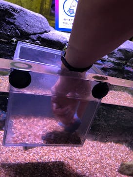 レゴランドⓇ・ジャパン・リゾートに投稿された画像（2024/7/8）