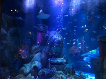 レゴランドⓇ・ジャパン・リゾートに投稿された画像（2024/7/8）