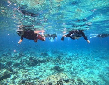 Sea World（シーワールド）に投稿された画像（2024/7/8）