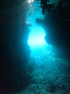 沖縄マリンサービス碧に投稿された画像（2024/7/8）