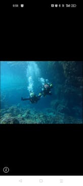 武藤潜水に投稿された画像（2024/7/8）