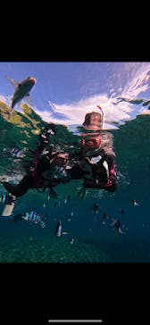 武藤潜水に投稿された画像（2024/7/9）