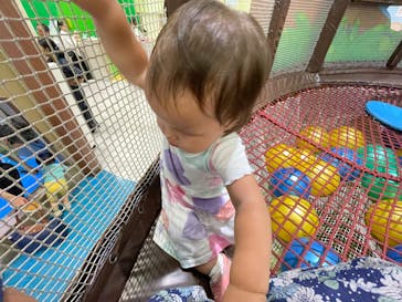 横浜アンパンマンこどもミュージアムに投稿された画像（2024/7/9）