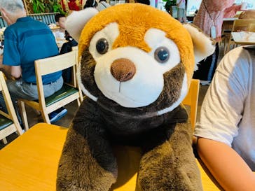 伊豆シャボテン動物公園に投稿された画像（2024/7/9）