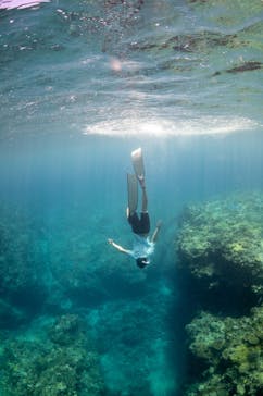 ソルトウォーターソーシャルクラブに投稿された画像（2024/7/8）