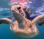  マリンショップHAPPYに投稿された画像（2024/7/9）