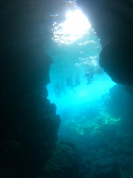 武藤潜水に投稿された画像（2024/7/9）