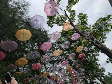 ムーミンバレーパークに投稿された画像（2024/7/9）