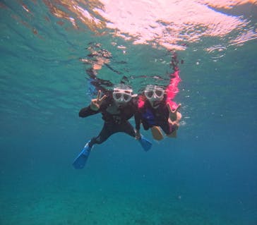 沖縄マリンサービス碧に投稿された画像（2024/7/9）