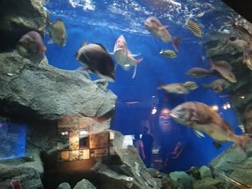 マリンワールド海の中道に投稿された画像（2024/7/9）