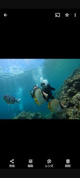 武藤潜水に投稿された画像（2024/7/9）