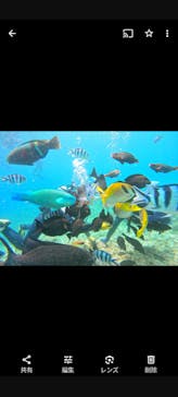 武藤潜水に投稿された画像（2024/7/9）