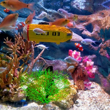 レゴランドⓇ・ジャパン・リゾートに投稿された画像（2024/7/9）