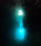 武藤潜水に投稿された画像（2024/7/9）